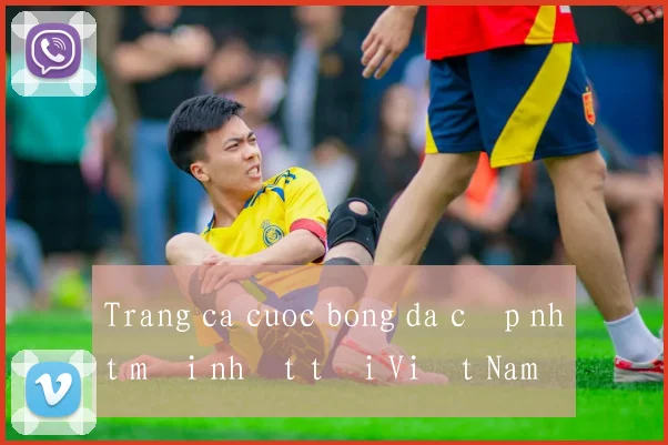 Trang ca cuoc bong da cập nhật mới nhất tại Việt Nam
