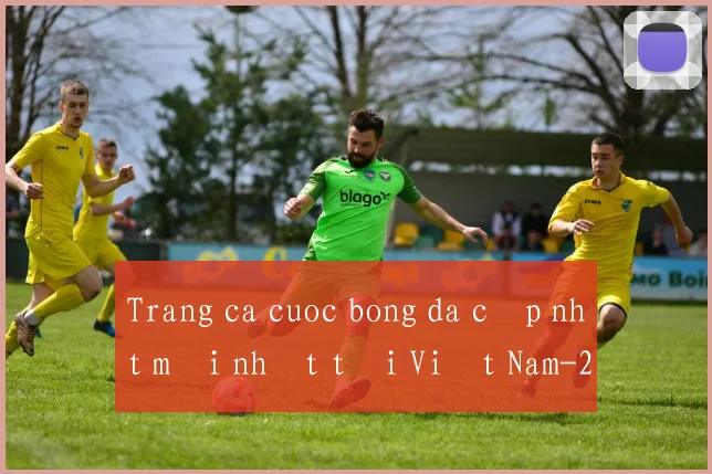 Trang ca cuoc bong da cập nhật mới nhất tại Việt Nam