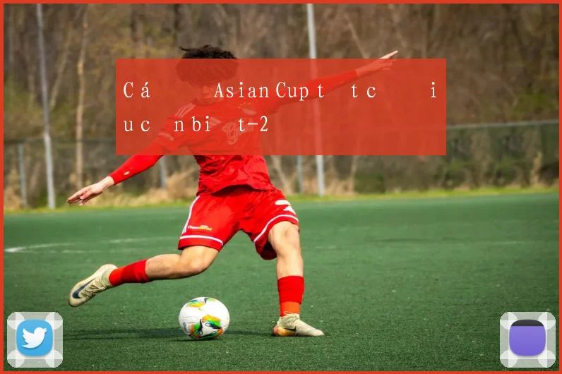 Cá độ Asian Cup tất cả điều cần biết