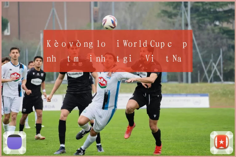 Kèo vòng loại World Cup cập nhật mới nhất giờ Việt Nam