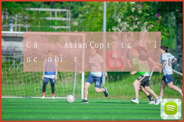 Cá độ Asian Cup tất cả điều cần biết