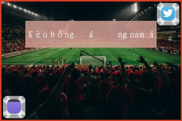 Kèo bóng đá đông nam á